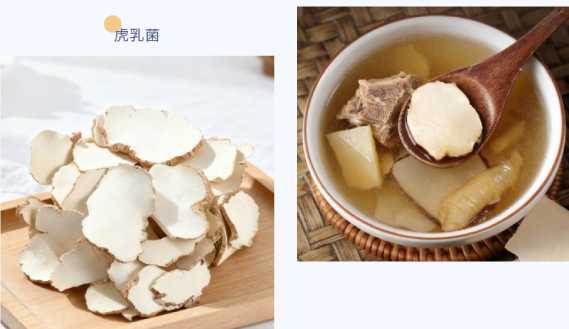 陵水虎乳靈芝煲湯