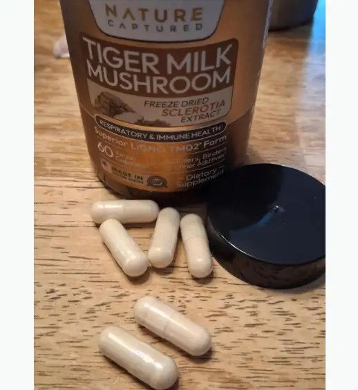 LIGNO TM02:The Gold Standard in Tiger Milk Mushroom