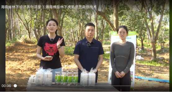 虎乳靈芝栽培技術培訓