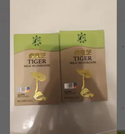 金馬牌 虎乳芝TIGER MILK MUSHROOM CAPSULE