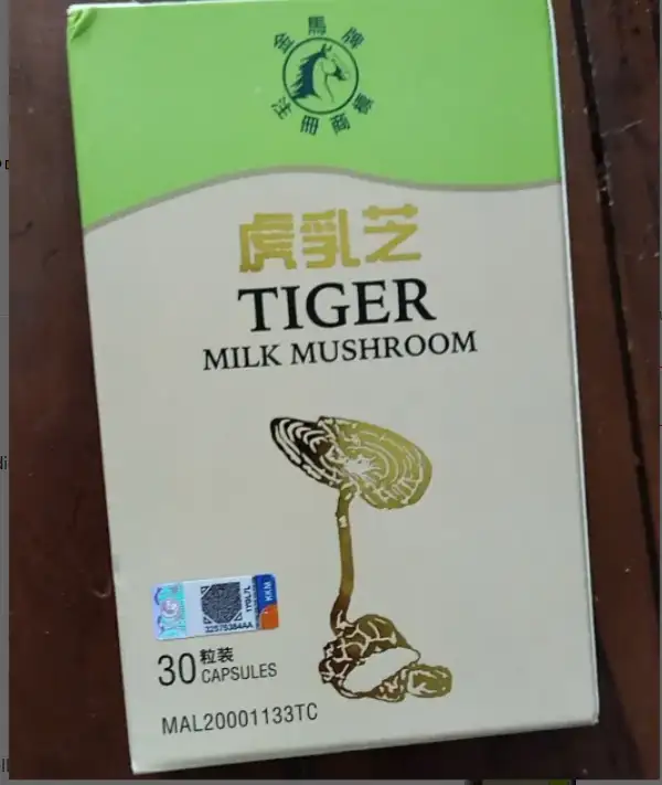 虎乳芝TIGER MILK MUSHROOM TIGER MILK MUSHROOM Benefits