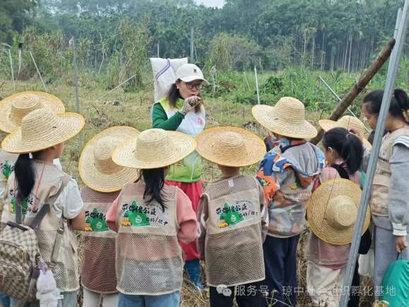 琼中青少年采虎乳灵芝自然研学活动!-沐春社会工作社