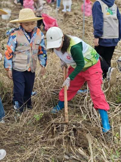 琼中沐春社会工作社成功举办虎乳灵芝认知实践主题活动