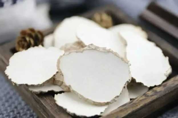 中国海南政府虎乳灵芝