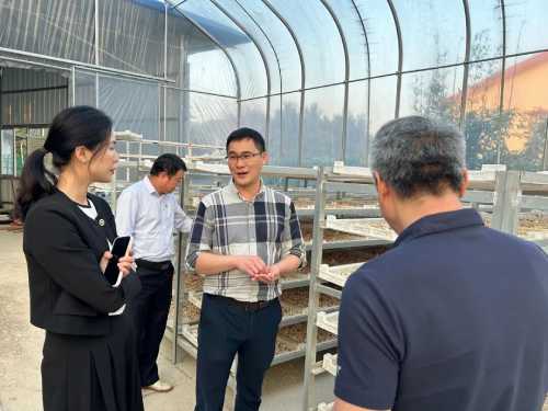 虎乳灵芝种植加工基地进行参观交流