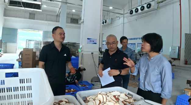 Hainan Lignosus Rhinocerus Supplier
