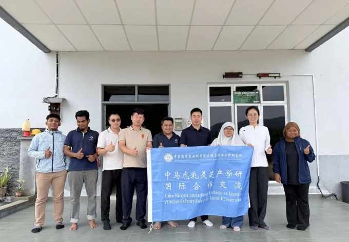 China Tiger Milk Mushroom Cultivation Base VS LiGNO Biotech 4