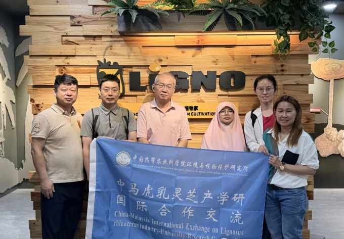 China Tiger Milk Mushroom Cultivation Base VS LiGNO Biotech