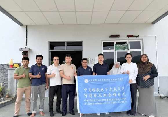 China Tiger Milk Mushroom Cultivation Base VS LiGNO Biotech11