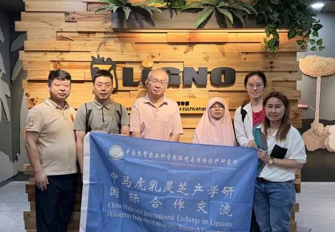 China Tiger Milk Mushroom Cultivation Base VS LiGNO Biotech3